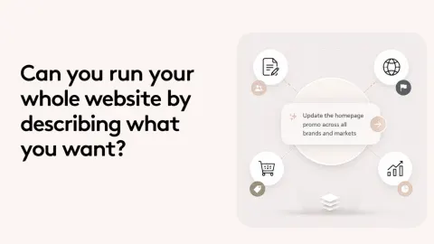Can you run your whole website by describing what you want?
