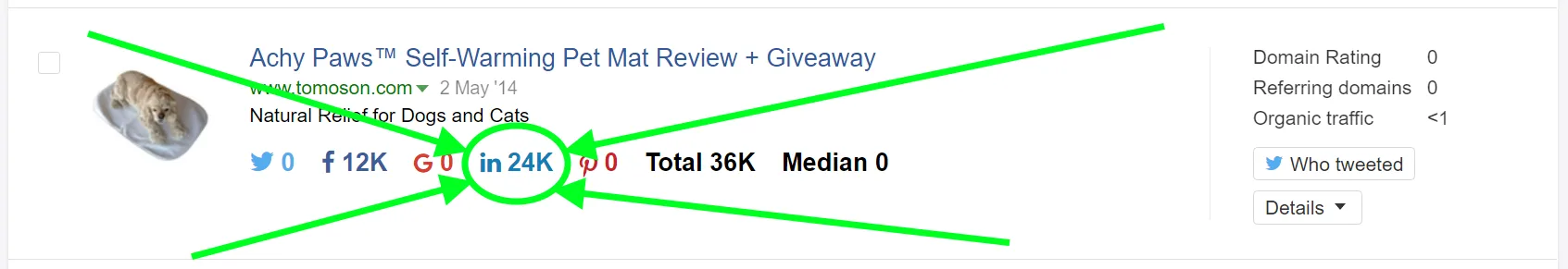 Achy Paws pet mat review with social media metrics highlighted in green.