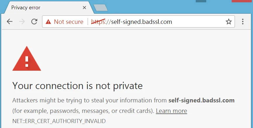 Browser privacy error page showing not secure warning